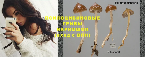 каннабис Богородск