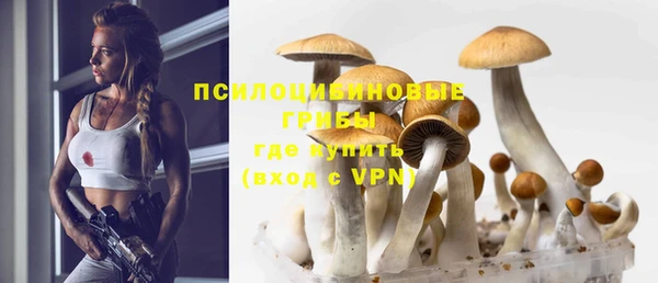твердый Богданович