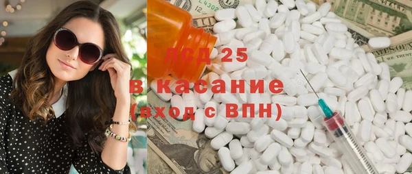 дживик Сосновый Бор