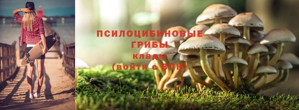 твердый Богданович