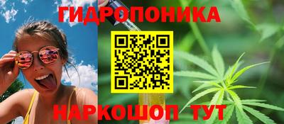 сатива Кунгур