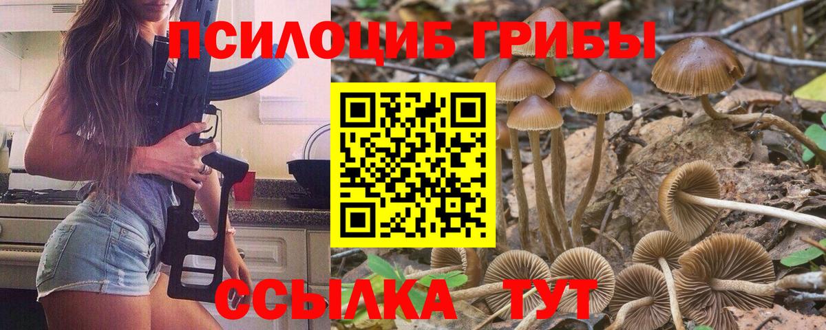 Гудермес  Псилоцибиновые грибы Psilocybine cubensis  что такое наркотик  Вход с VPN 