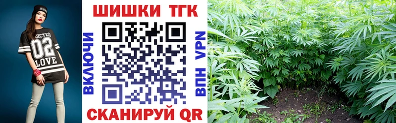 Конопля индика  купить наркоту  Гудермес 